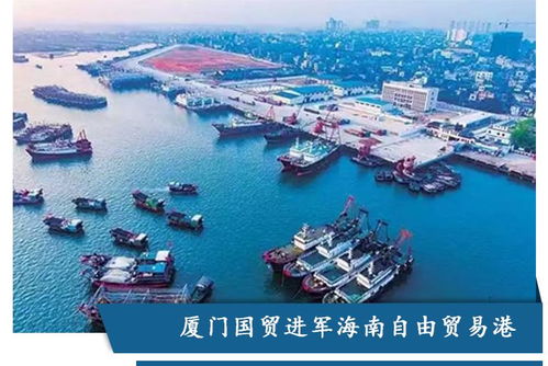 足迹丨繁荣共聚,为美好未来赋能