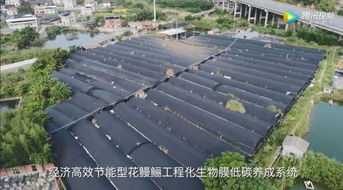 国家鳗鲡产业技术创新战略联盟成立大会在厦门召开