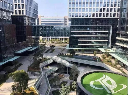 厦门黑马独角兽创新加速基地成立 开启产业互联网新探索