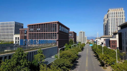 海内外 大咖 齐聚翔安 聚焦翔安这个新兴产业